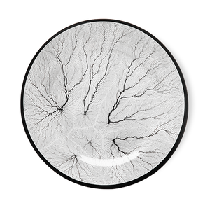 Grove Luxe - Patex Studios