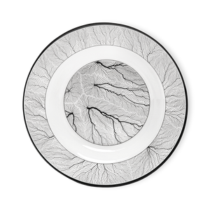 Grove Luxe - Patex Studios