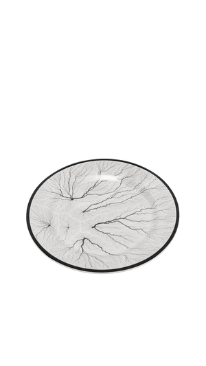 Grove Luxe - Patex Studios