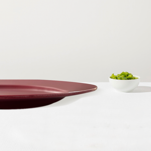 Maroon Matt Melamine Rice Plate - Patex Studios